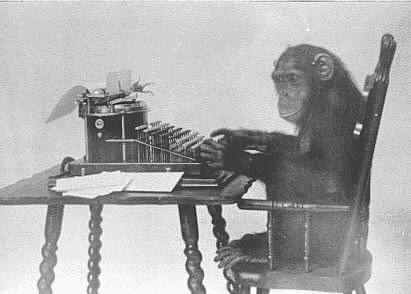 123monkey-typing.jpg 