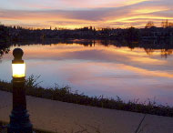 Restore the Delta will present "A Bold Direction: The People's Vision for the Delta," A Symposium on the Sacramento-San Joaquin Delta," on February 28, 2009 from 8 a.m to 4:15 p.m. at the Wine and Ros