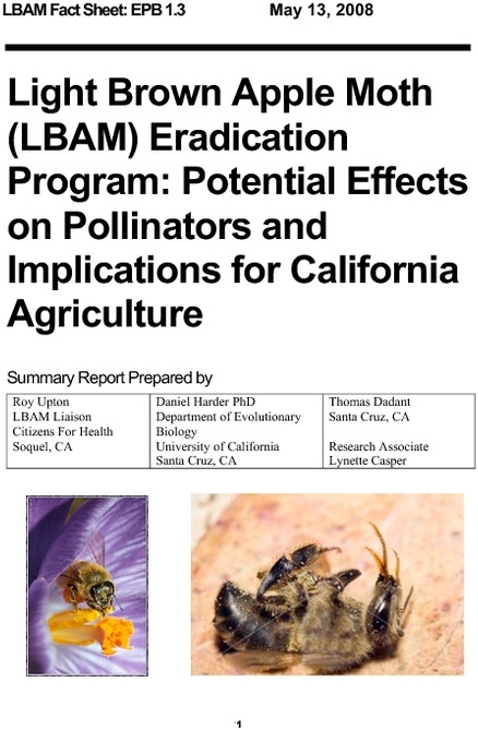 lbam_fact_sheet_bees.pdf_600_.jpg