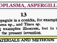 2ndpart_histo.gif