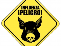 200_swine_flu_influenza_porcina_gripe_suina.jpg