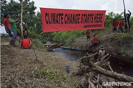 greenpeace_forest_climate_camp.jpg 