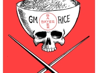 200_bayer_genetic_modified_rice_danger.jpg