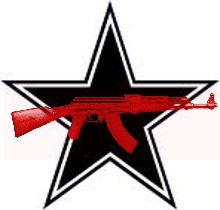 black_star_logo.jpg 