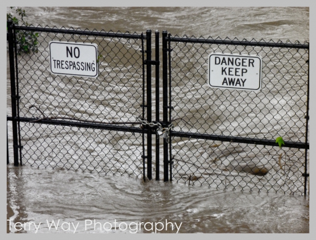 640_capitola-ca-march-26-2011_6.jpg 