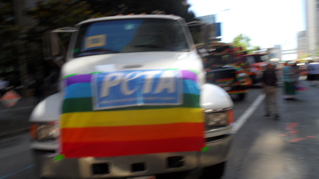 sf-pride-peta-animal_protection-vegetarian_community_contingent-062611_-_1.jpg 