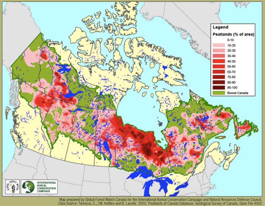 How do we save Canada's boreal forest?