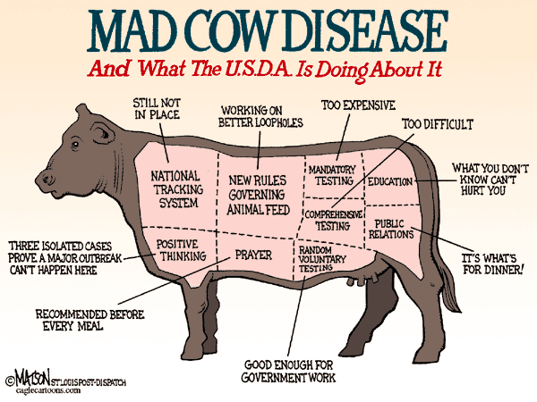 Genetics Vs Genesis Mad Cow Disease And Chicken Self Regulation 