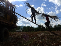 2012-philippines-agrarian-reform-carper.jpg