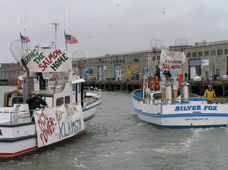 800_boats_with_signs_better_sm.jpg 