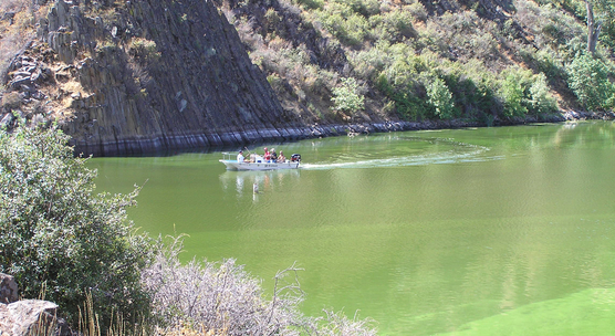 algae_blooms.jpg 