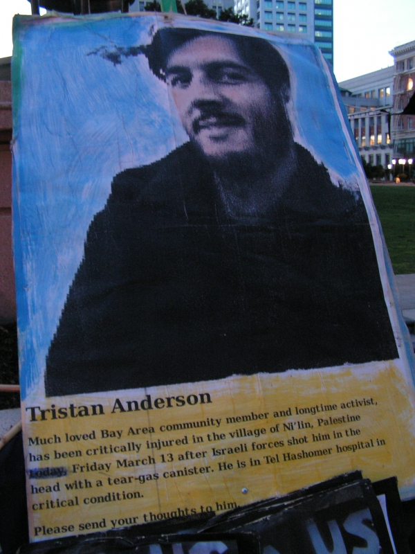 800_tristananderson.jpg 