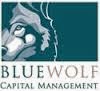 bluewolfcapital.jpg 