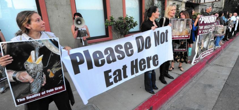 800_foiegras-protest-losangeles-jan2015.jpg 