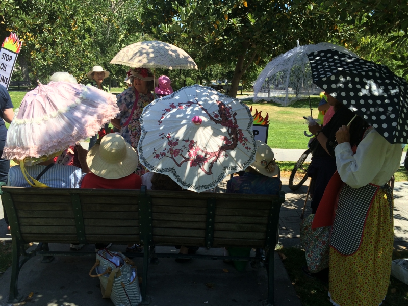 800_350sanjoseparasols.jpg 