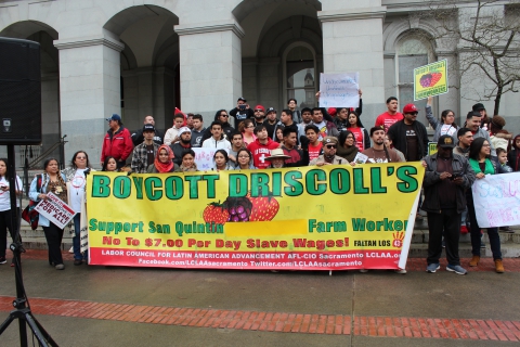 480_driscolls_boycott.jpg