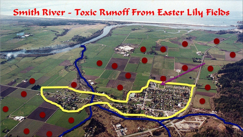 sm_smith_river_toxic_fields.jpg 