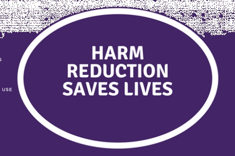 480_harm_reduction_santa_cruz.jpg