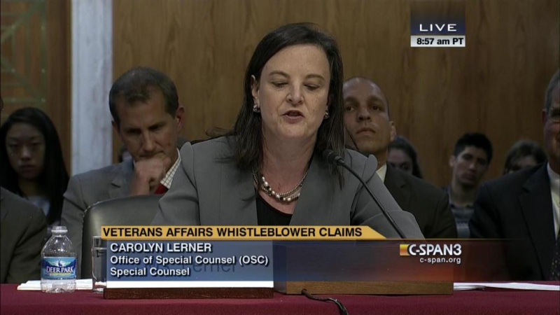 sm_lerner_carolyn_osc_special_counsel.jpg 