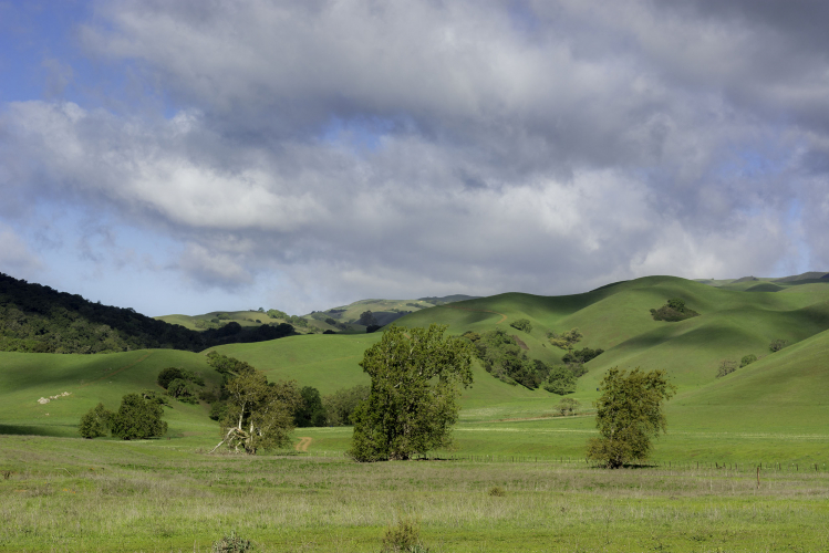 sm_20140317_ca_gilroy_sargent-hills.jpg 