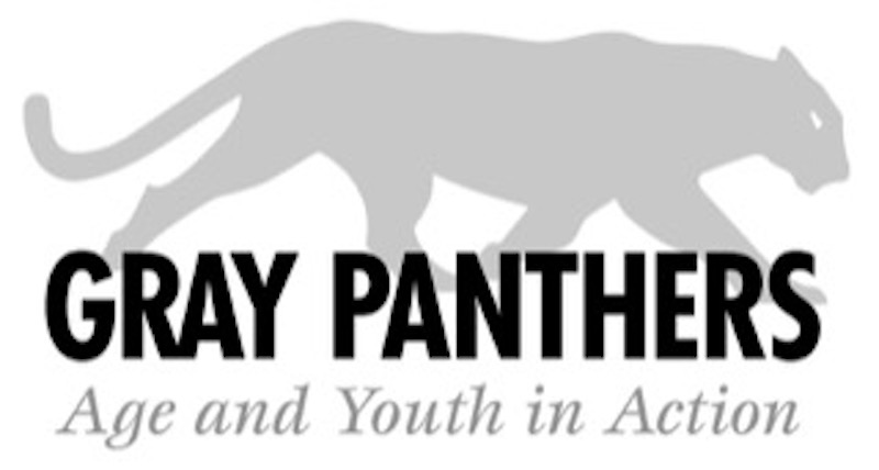 panther__22age___youth_in_action_22.jpeg 