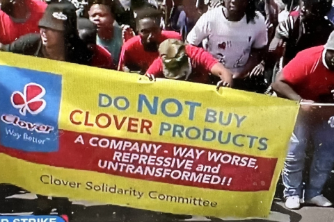 480_sa_clover_solidarity_banner_1.jpg