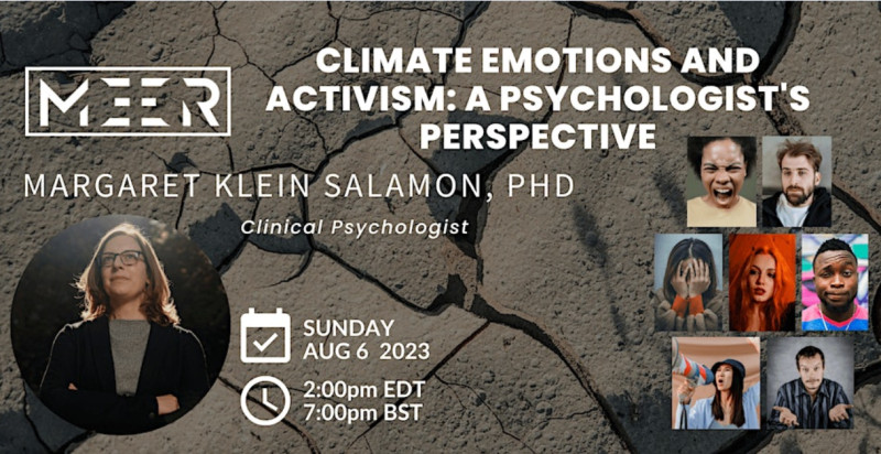 sm_climate_emotions_and_activism_a_psychologist_s_perspective.jpg 