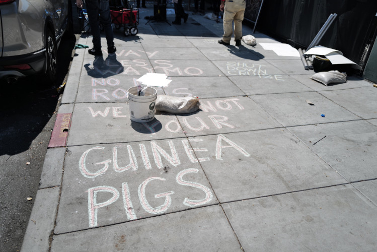 sm_7_l1040898_guinea_pigs_copy.jpg 