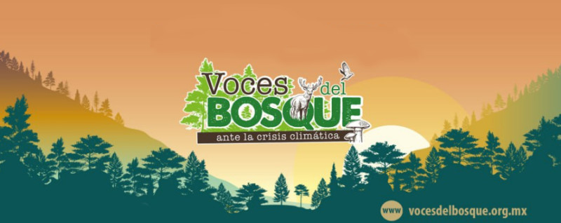 sm____mex_voces_del_bosque.jpg 