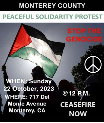sm_peaceful_solidarity_protest.jpg 