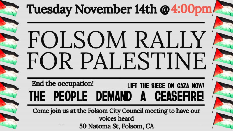 sm_folsom_rally_for_palestine.jpg 