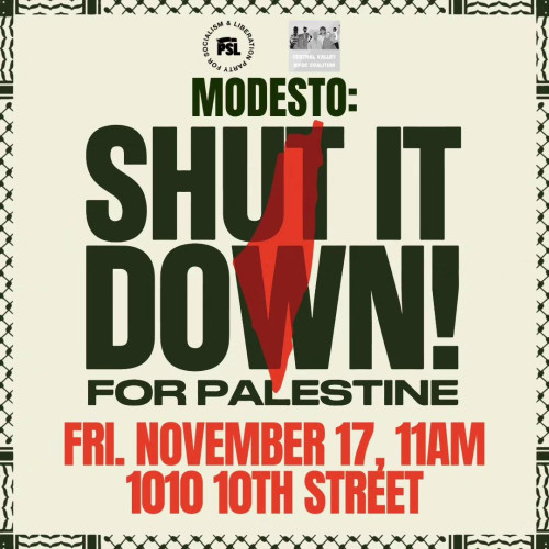 sm_modesto_shut_it_down_for_palestine.jpg 