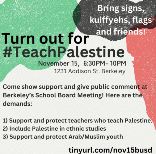 sm_turn_out_for_teach_palestine.jpeg 