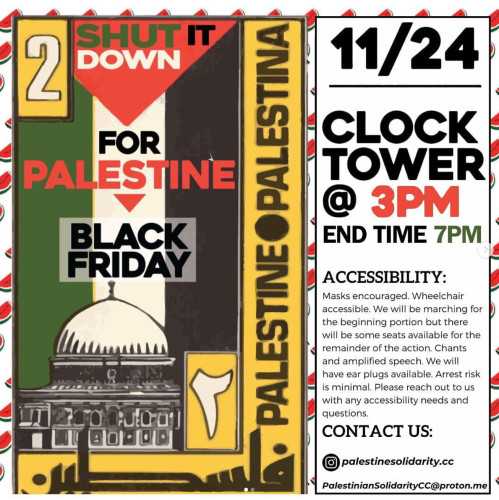 sm_shut-it-down-for-palestine-black-friday-santa-cruz.jpg 