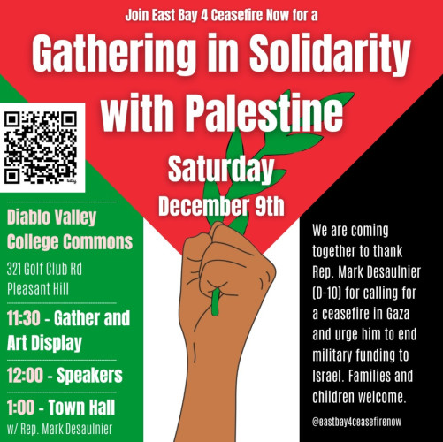 sm_pleasant-hill-diablo-valley-gathering-in-solidarity-with-palestine.jpg 