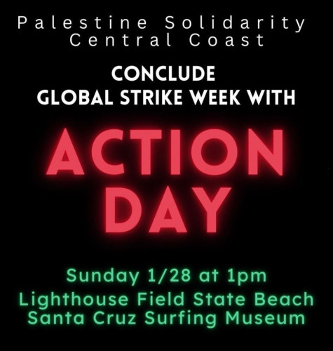 sm_palestine-global-strike-week-santa-cruz.jpg 