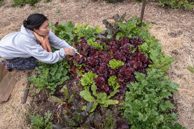 woman in merritt garden