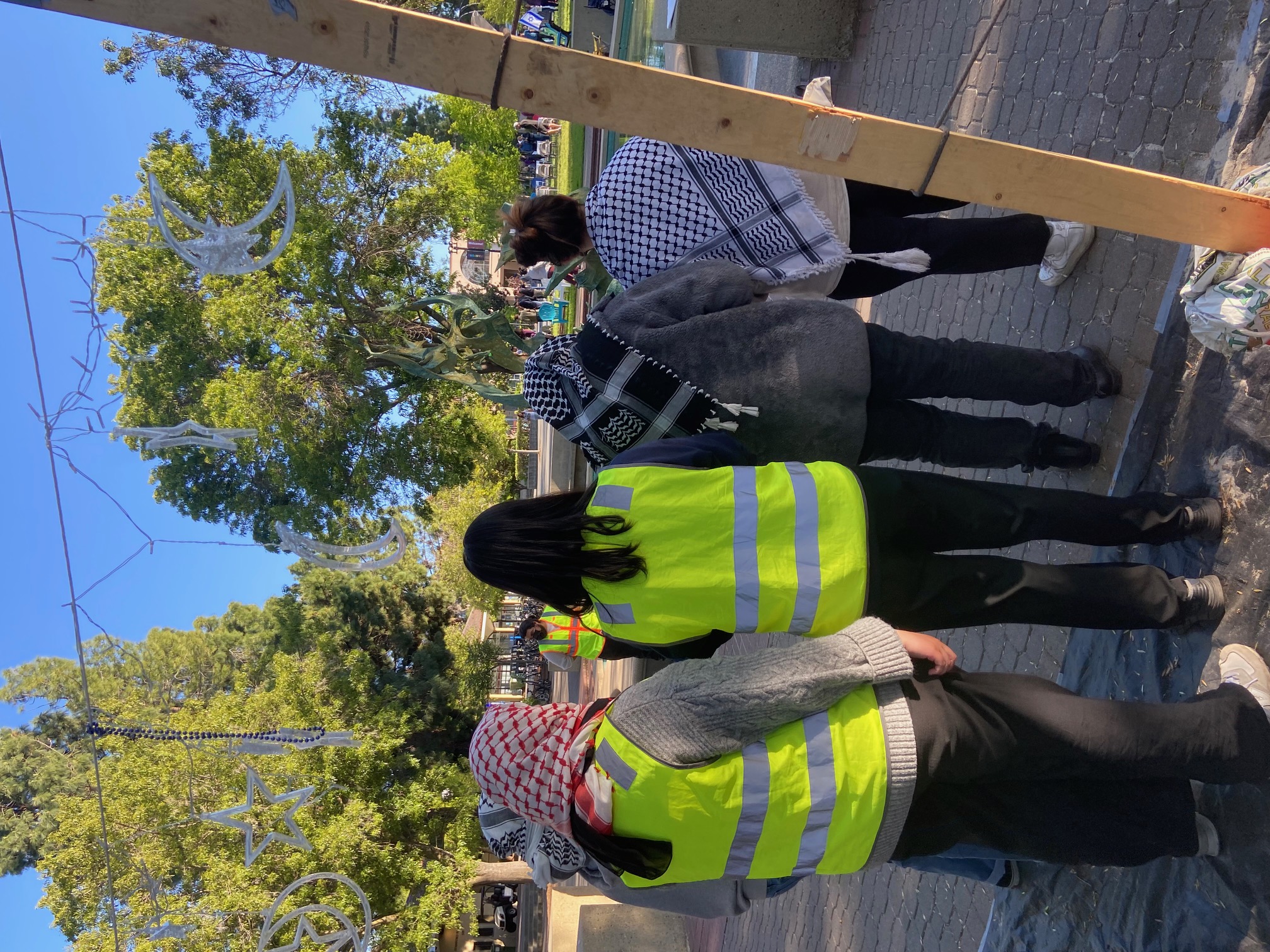 view from rear...students in keffiyeh and security vests 