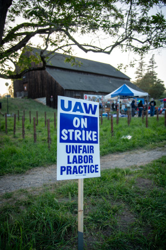 sm_uc_santa_cruz_palestine_solidarity_camp_2_uaw_ulp_strike.jpg