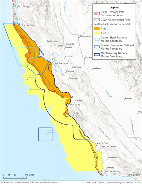 By Todd Steiner | May 17, 2024 - In an inexplicable move, the National Marine Fisheries Service has allowed a little known fishery that t...