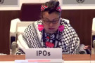 The United Nations Expert Mechanism on the Rights of Indigenous Peoples in Geneva heard testimony on the imprisonment and assassinations ...