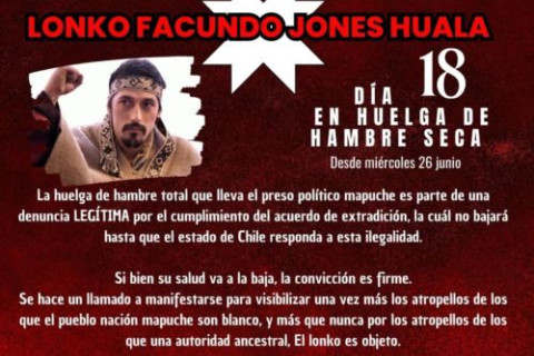 Flyer: "¡LIBERTAD INMEDIATA! LONKO FACUNDO JONES HUALA". Source: Kaos en la Red.