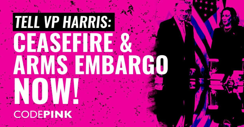 Tell VP Harris: Ceasefire & Arms Embargo Now!