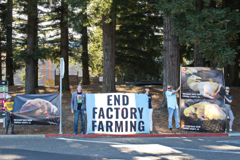 Supporters of Measure J which would ban factory farms in Sonoma County confront opponents at "No" event.  DxE (Direct Action Everywhere) ...