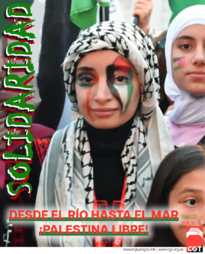 informate: https://twitter.com/HoyPalestina 