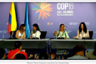 Casey Camp-Horinek, Ponca, is at the United Nations Biodiversity Convention  COP16. "The Ponca Nation is on the ground here at COP16 in C...