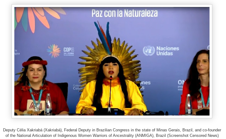 Indigenous women leaders from Brazil defending their rivers, forests and people, spoke with courage and the fire of their ancestors at th...