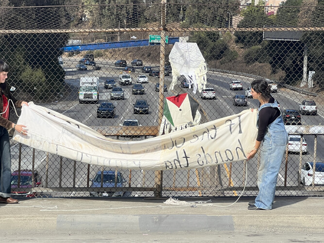 sm_palestine_art_dropping_banner10-25-24.jpg