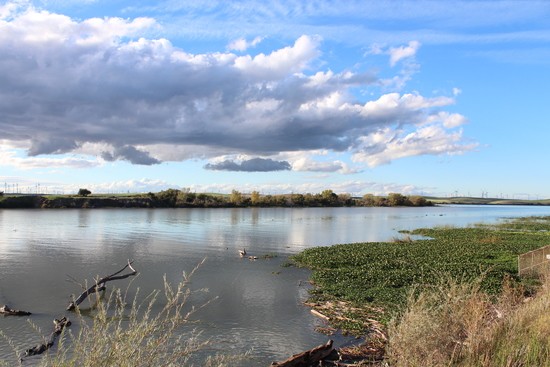 Gary Mulcahy, Government Liaison for the Winnemem Wintu Tribe said, “As the Tribe has stated before, the Department of Water Resources at...