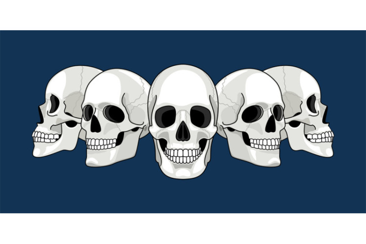 sm_800_4068590_lf9kj0oo1r9umarw8r5i44e2plk9uiv4kf5bxtwf_skull-head-profile-human-skulls-profiles-picture-front-and-side-scul.jpg